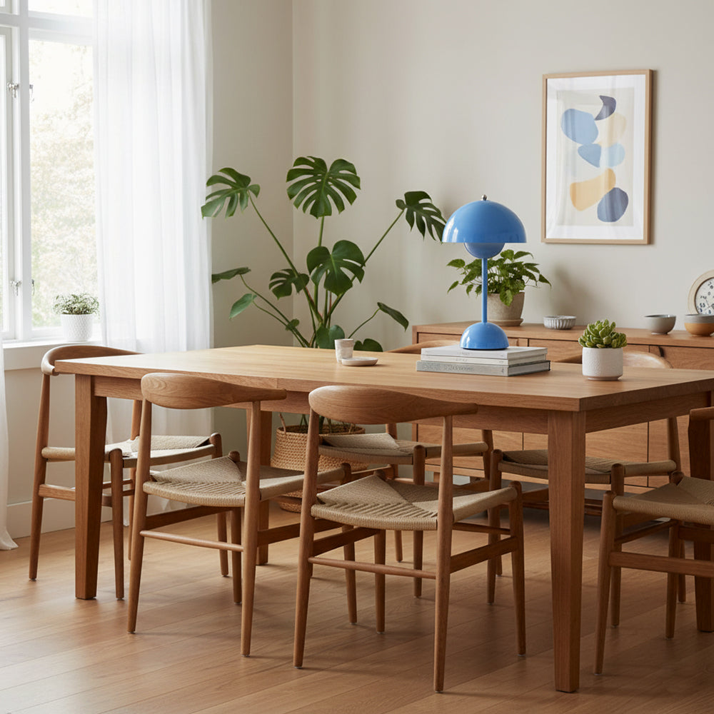 Rechargeable LED Small Desk Lamp