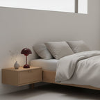 Rechargeable LED Small Desk Lamp