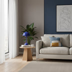 Rechargeable LED Small Desk Lamp