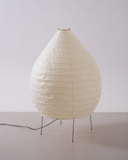 Akari 23N Floor Lamp