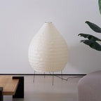 Akari 23N Floor Lamp