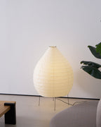 Akari 23N Floor Lamp