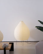 Akari 23N Floor Lamp