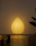Akari 23N Floor Lamp