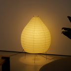 Akari 23N Floor Lamp