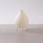 Akari 22N Table Lamp