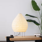 Akari 22N Table Lamp