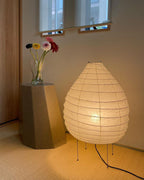 Akari 22N Table Lamp