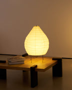 Akari 22N Table Lamp