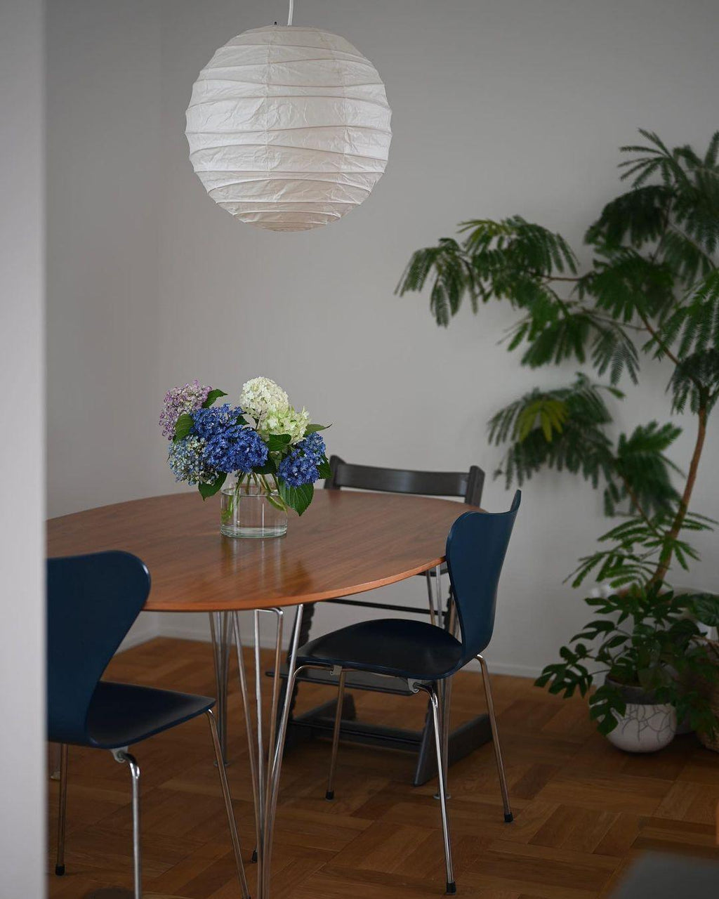 Akari D Series Pendant Lamp