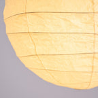 Akari D Series Pendant Lamp