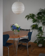 Akari D Series Plug In Pendant Lamp