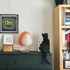 Akari Series Table Lamp