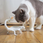 Chameleon Table Lamp