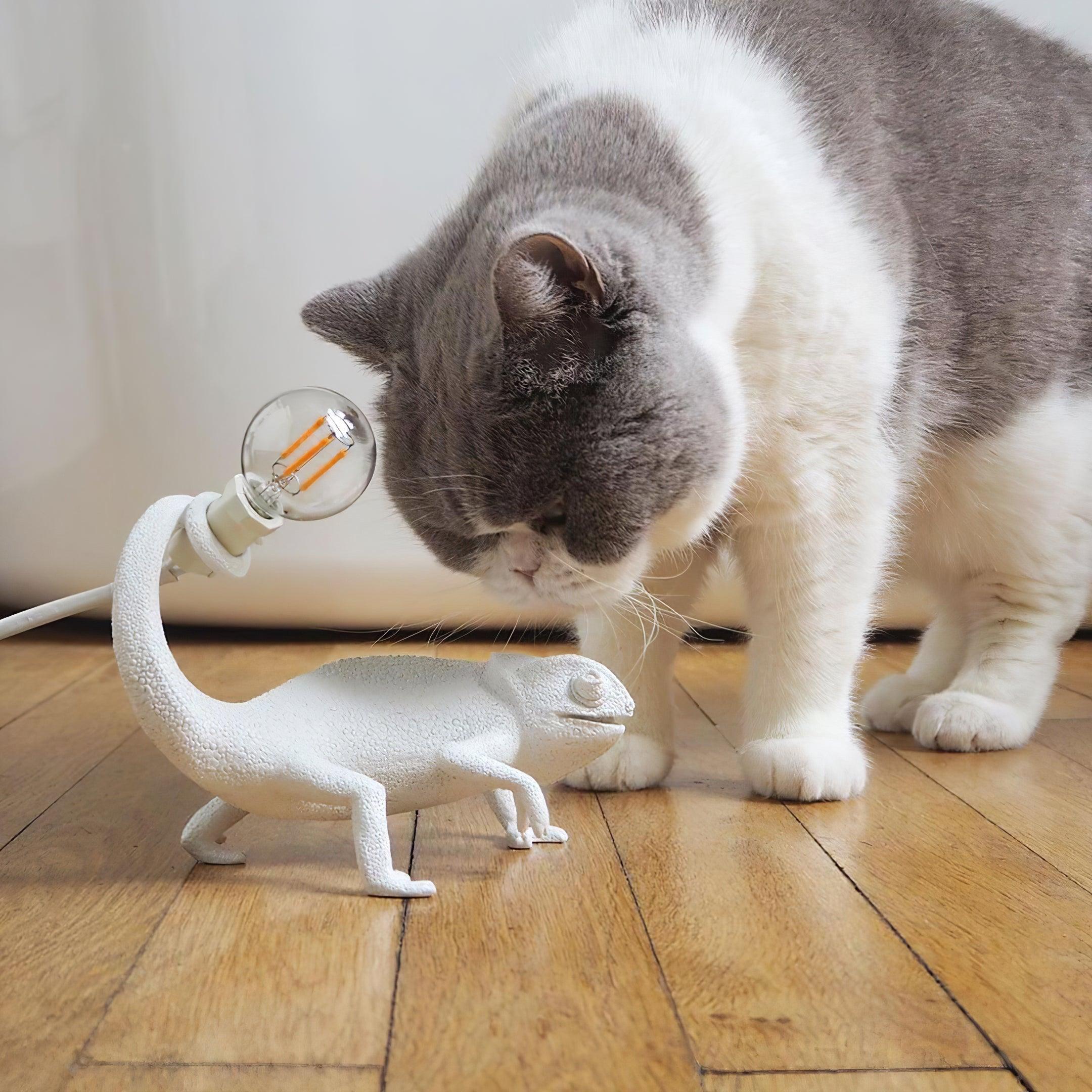 Chameleon Table Lamp