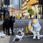 Chameleon Table Lamp