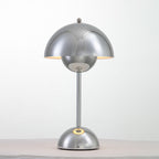 Rechargeable LED Small Desk Lamp