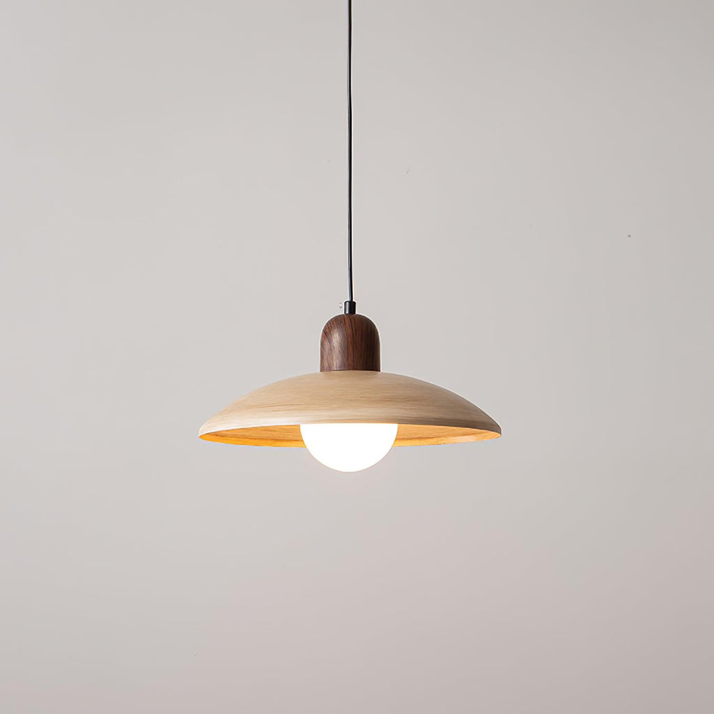 Corpin Plug In Pendant Lamp