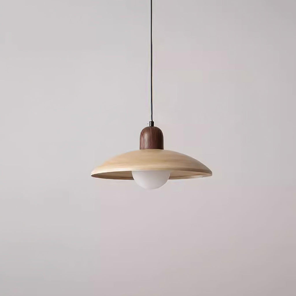 Corpin Plug In Pendant Lamp