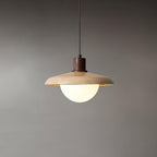 Corpin Plug In Pendant Lamp