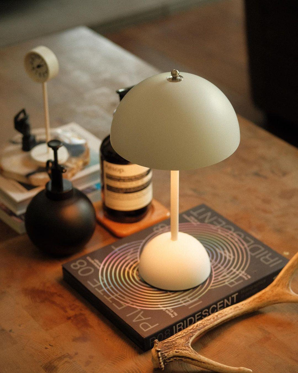 Rechargeable LED Small Desk Lamp