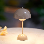 Rechargeable LED Small Desk Lamp