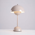 Rechargeable LED Small Desk Lamp