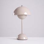 Rechargeable LED Small Desk Lamp