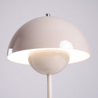 Rechargeable LED Small Desk Lamp