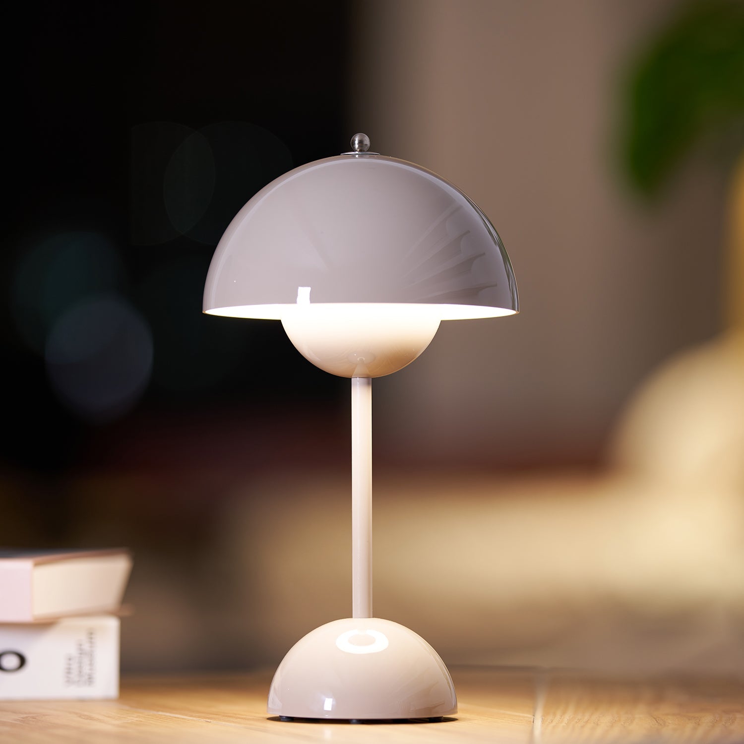 Rechargeable LED Small Desk Lamp