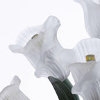 Green Sonia Wall Lamp