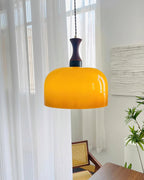 Lacey Glass Plug In Pendant Lamp