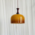 Lacey Glass Plug In Pendant Lamp