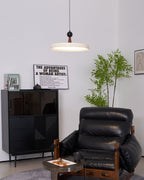 Lodi Swing Arm Pendant Light