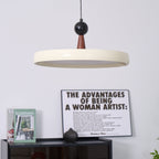 Lodi Swing Arm Pendant Light