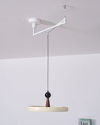 Lodi Swing Arm Pendant Light