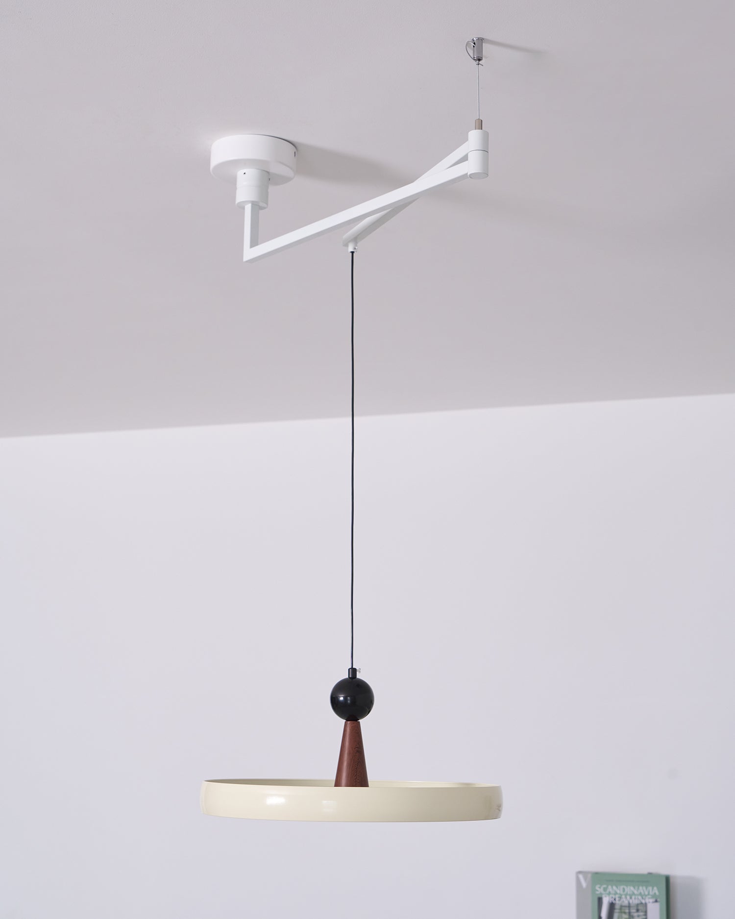 Lodi Swing Arm Pendant Light