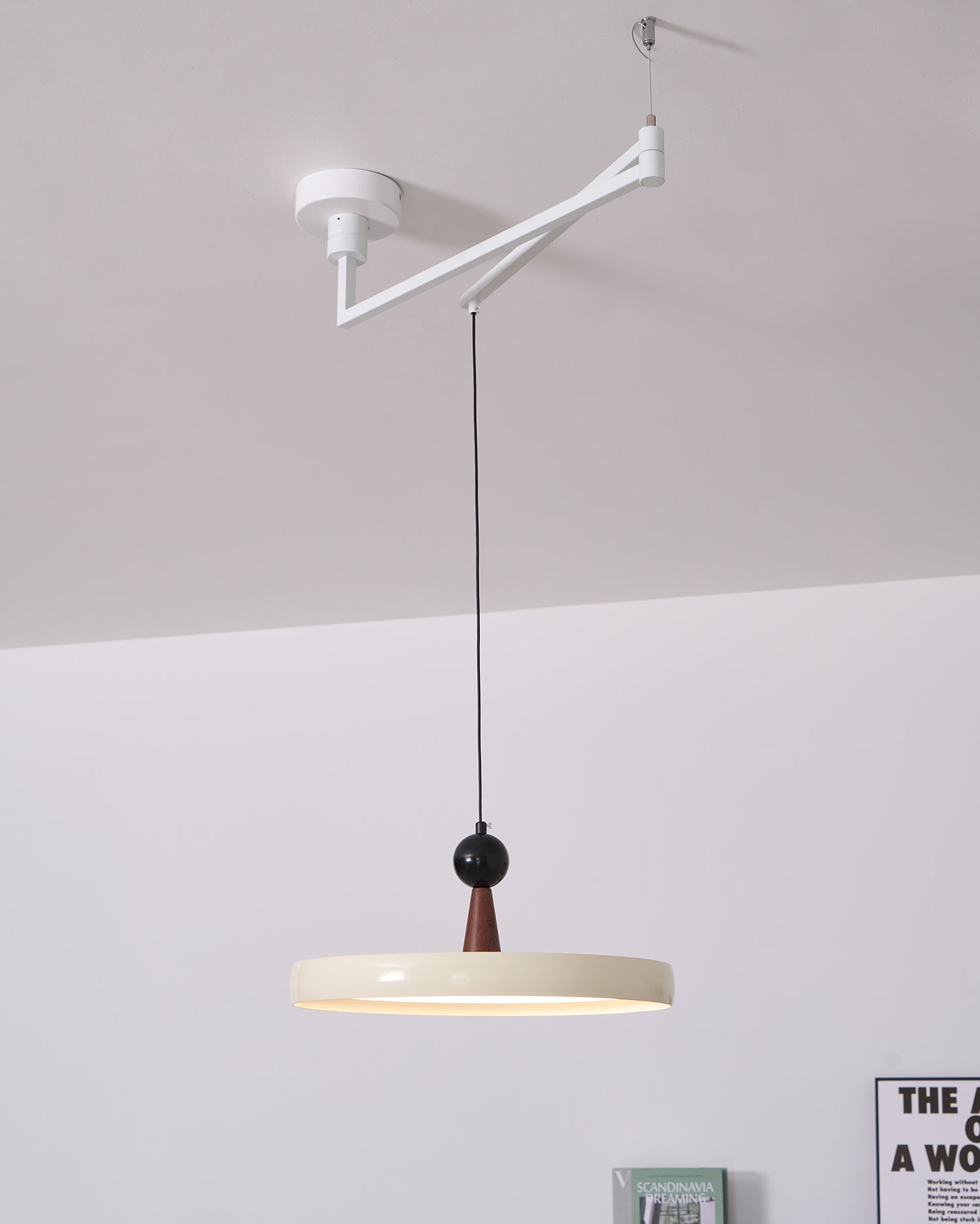 Lodi Swing Arm Pendant Light