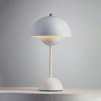 Rechargeable LED Small Desk Lamp