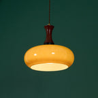 Mayon Plug In Pendant Lamp