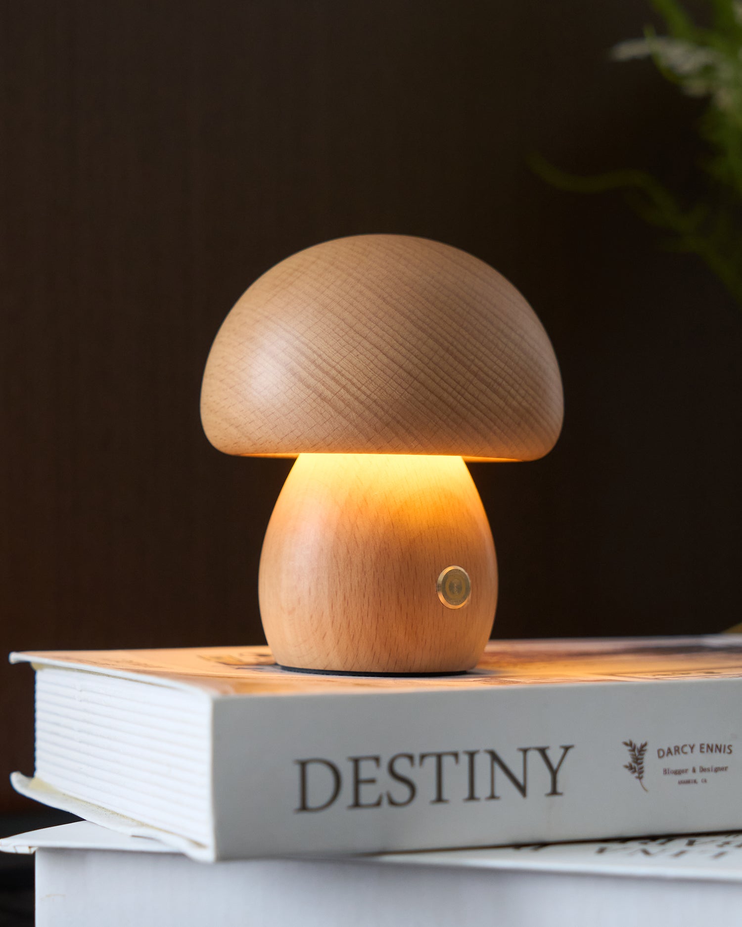 Mini Mushroom Table Lamp