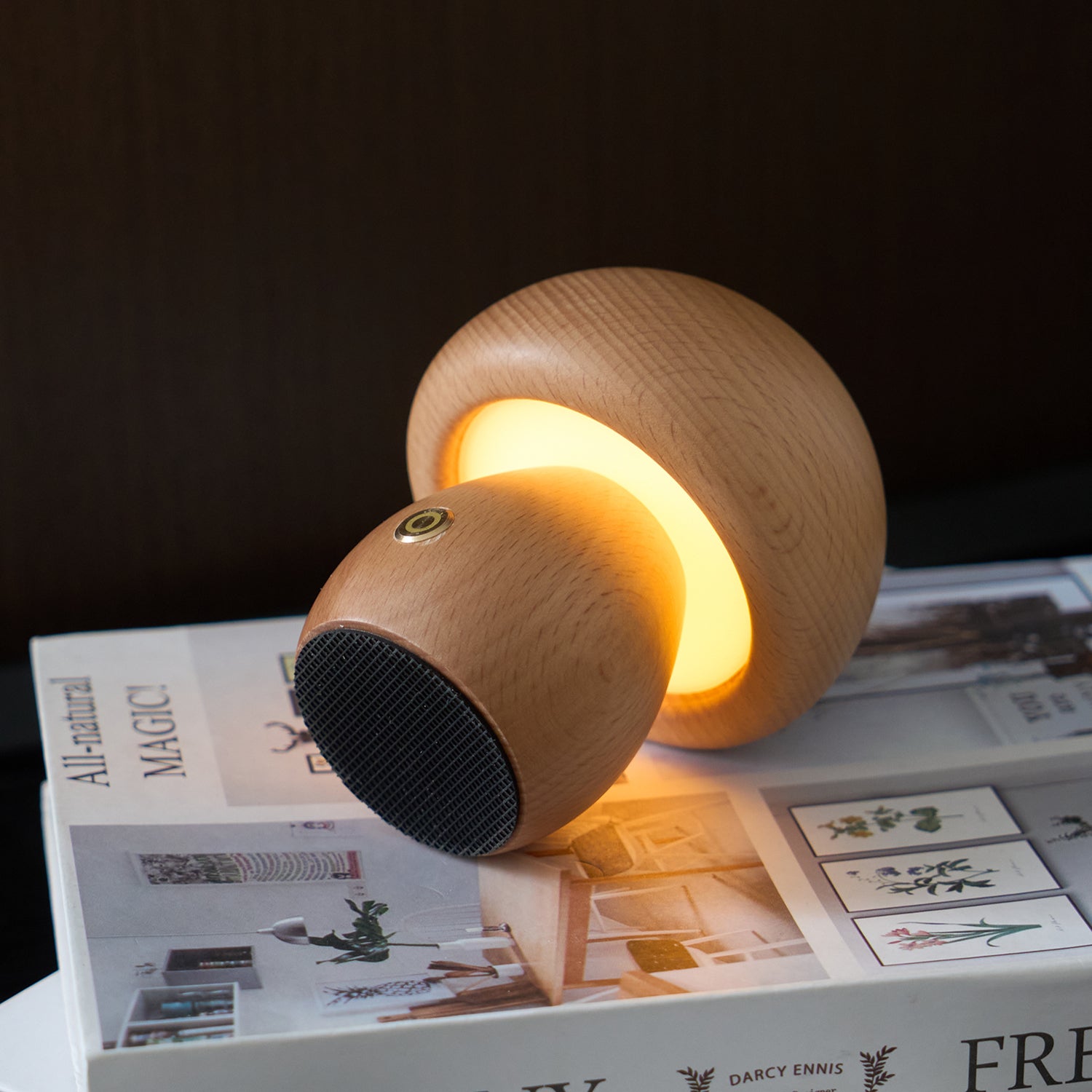 Mini Mushroom Table Lamp