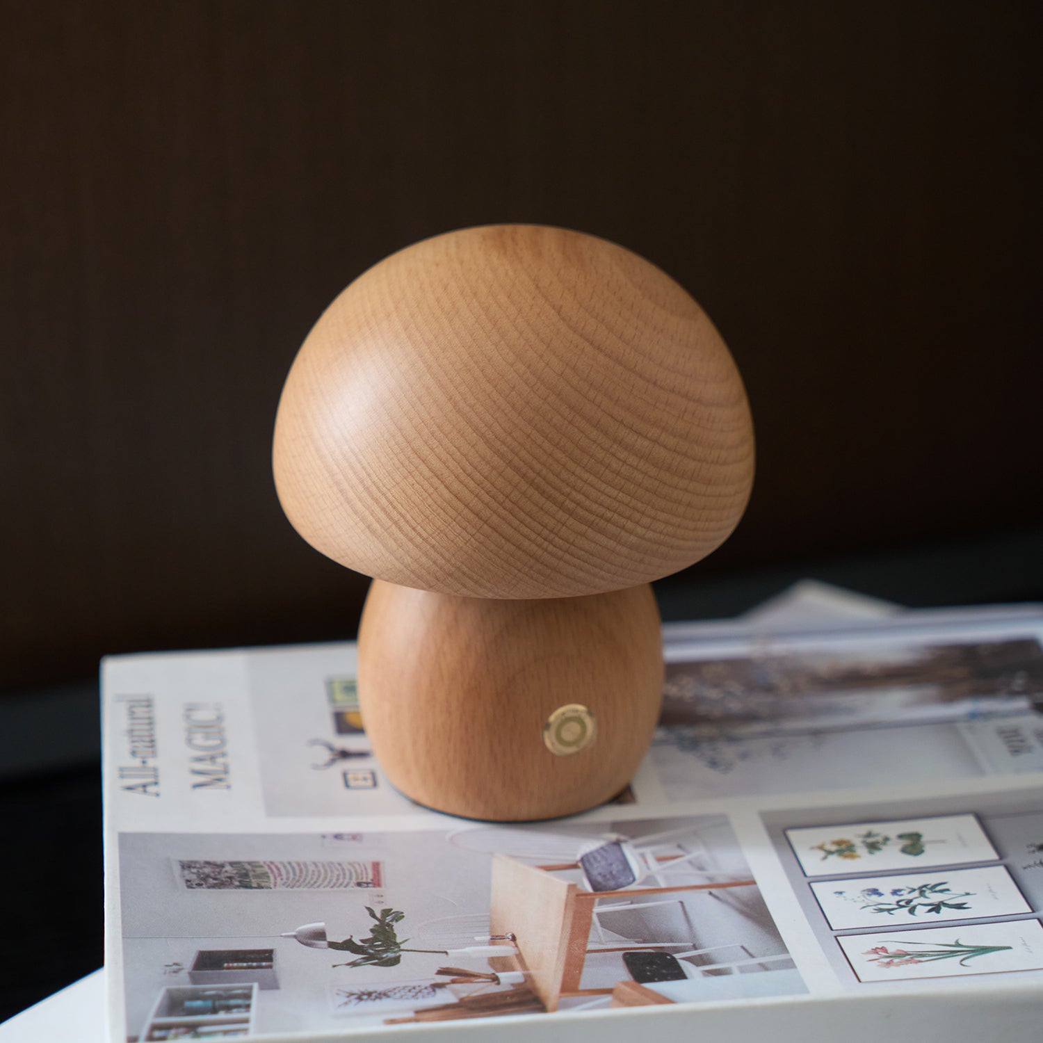Mini Mushroom Table Lamp