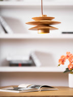 Picasso Pendant Light