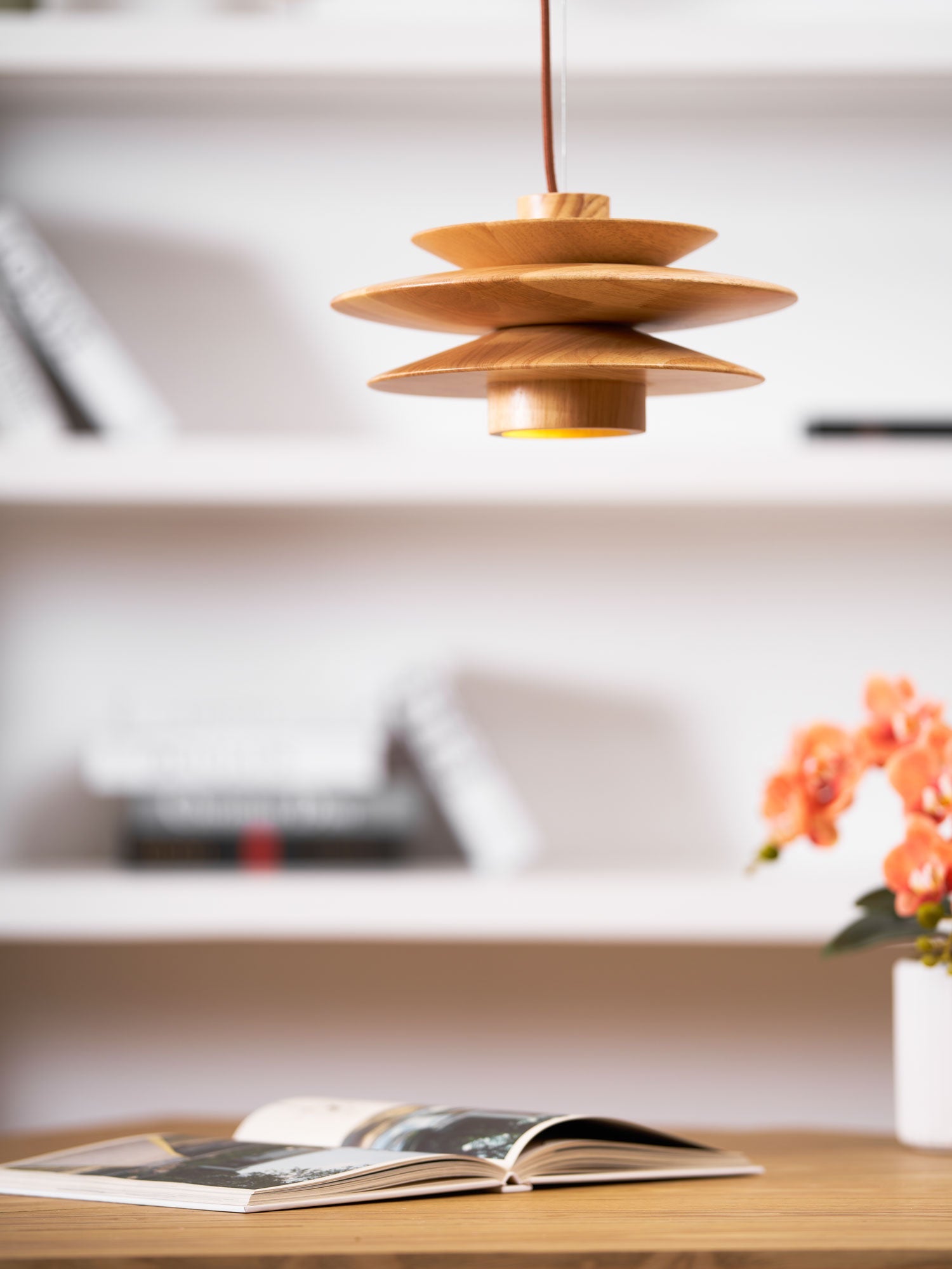 Picasso Pendant Light