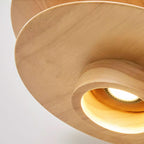 Picasso Pendant Light