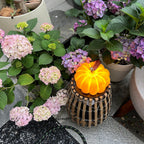 Pumpkin Portable Table Lamp