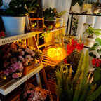 Pumpkin Portable Table Lamp