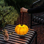 Pumpkin Portable Table Lamp