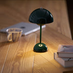 Rechargeable LED Small Desk Lamp